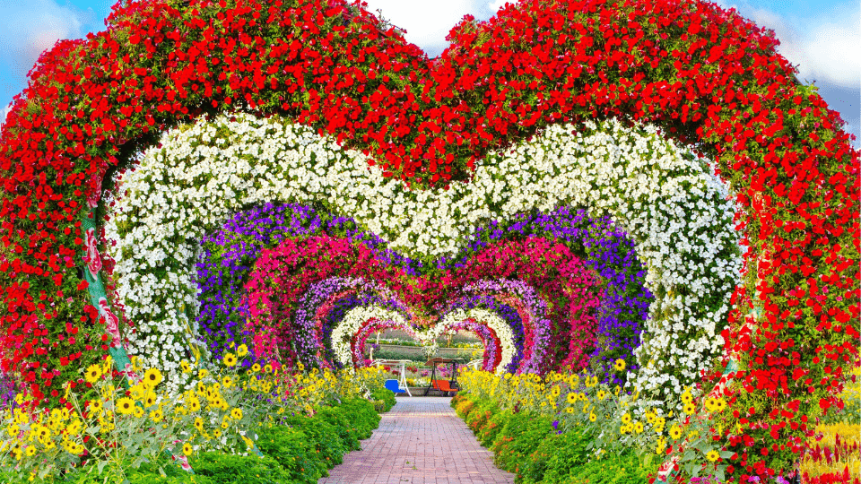 dubai miracle garden