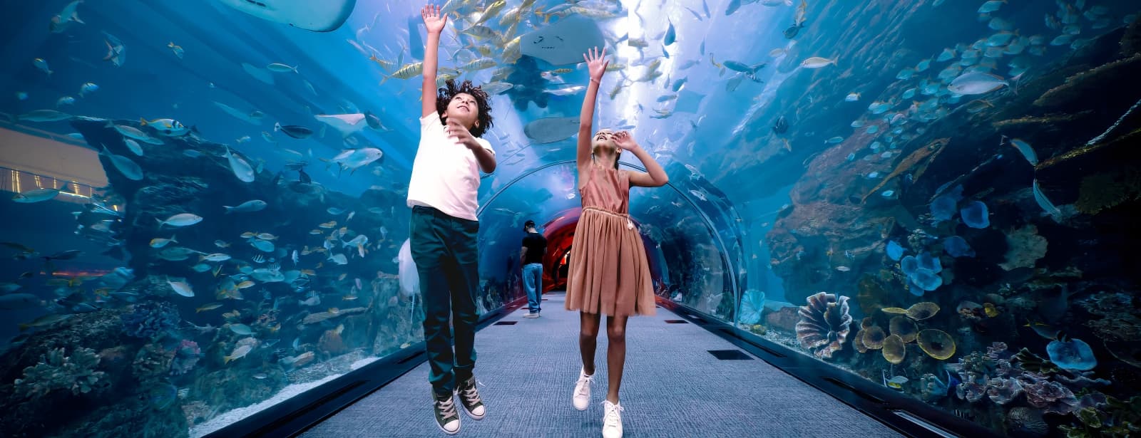 dubai aquarium and underwater zoo