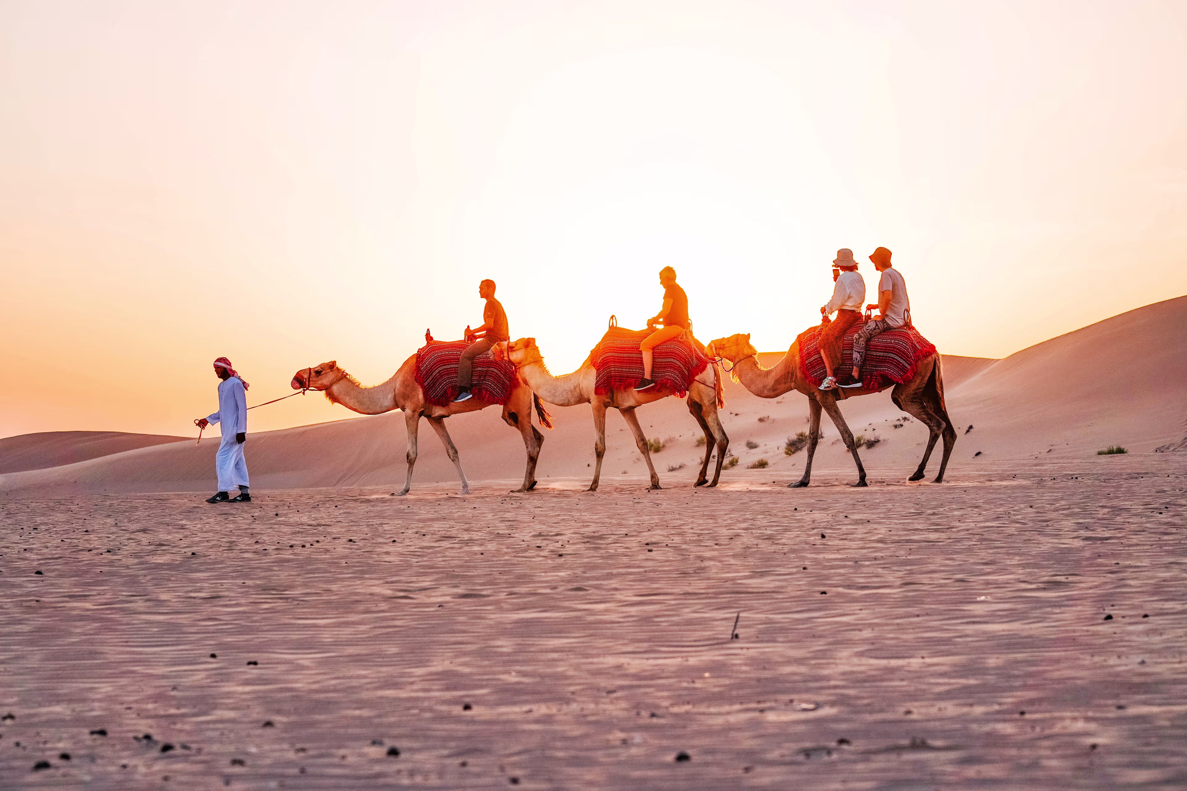 morning desert safari