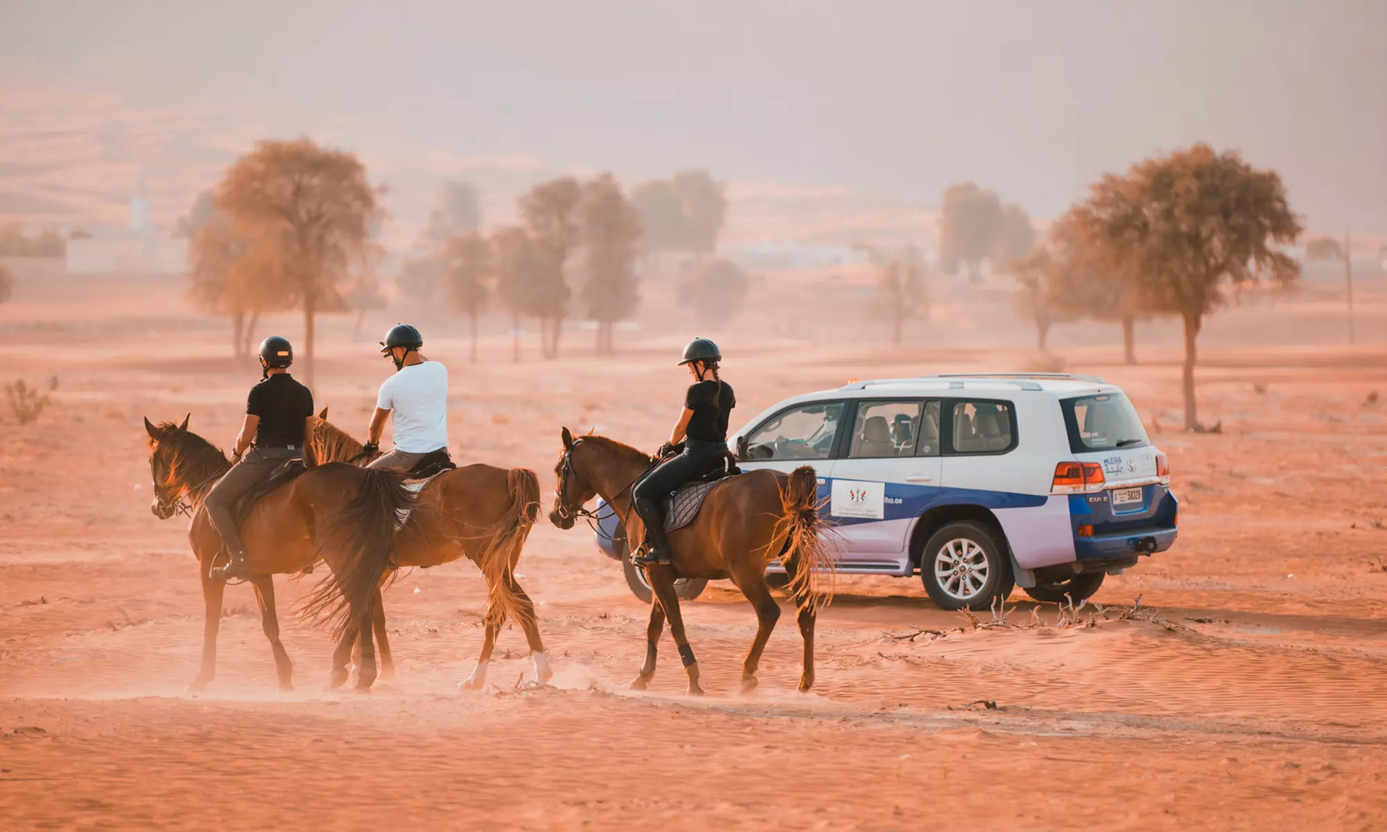 horse riding at mleiha arena